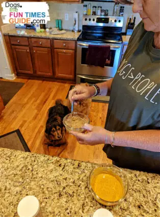 Combining the Pupsicle mix with water really brings out the aroma -- especially with the Turkey & Cinnamon flavored Pupsicle mix from Cooper's Treats. (That cinnamon smells great!)  