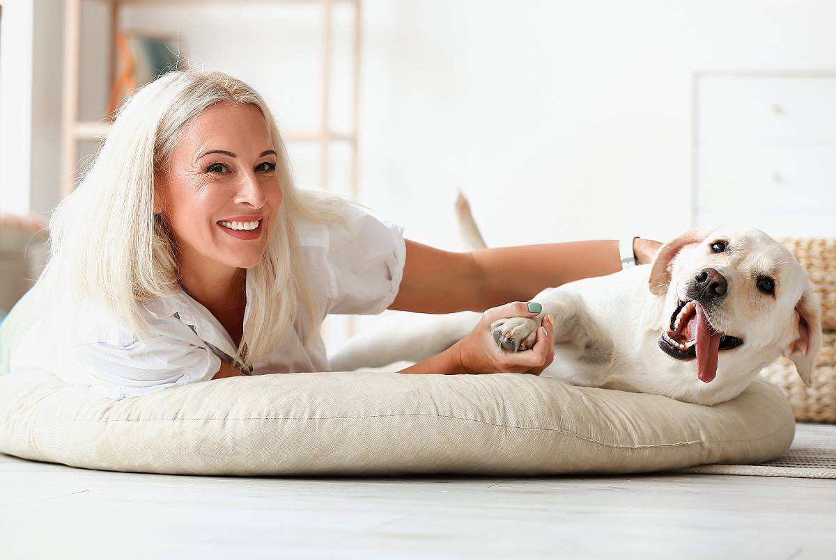 See The DIY NoSew Extra Large Dog Bed That I Made From A Memory Foam