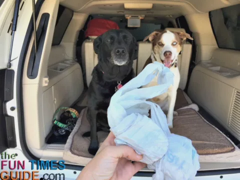 See all of the ways that we use plastic bags when traveling with dogs in the car.