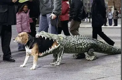 dog-aligator-costume.png