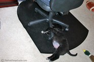 dog-asleep-under-chair.jpg