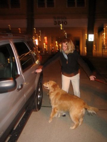 First, just get your dog used to being CLOSE to the car. 