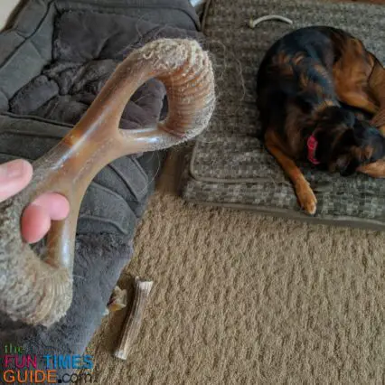 The is one of the few dog toys that works as a long-lasting dog chew in our home - the Benebone dog chew toy.