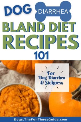A list of dog bland diet recipes that work best for dog diarrhea, upset tummy, and post-surgery recovery. 