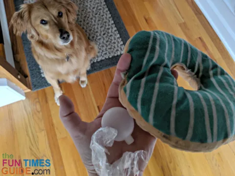 Dog toy destroyed by dogs