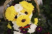 dog-flowers4.jpg