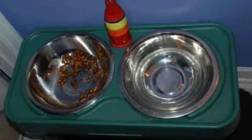 My dog's food and water bowls, plus a bottle of extra virgin Olive Oil that I pour on his food each time.