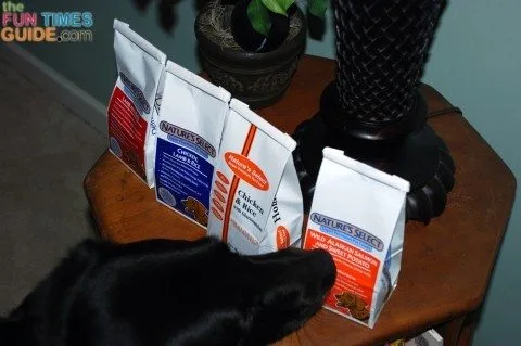 My dog seems to have a preference for the Salmon and Sweet Potato variety of Nature's Select dog food. 