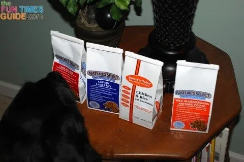 My dog "taste testing" Nature's Select dog food flavors. 
