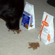 dog-food-trial