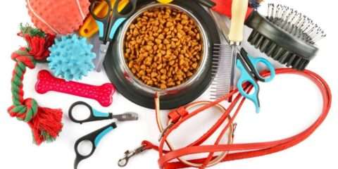 Here's the ultimate list of free dog supplies and samples... just for asking!