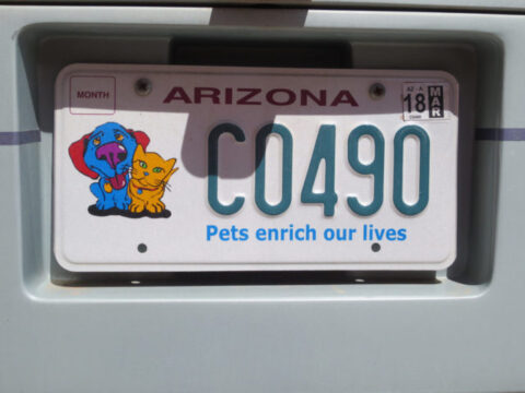 Here are some pet-friendly state license plates. 