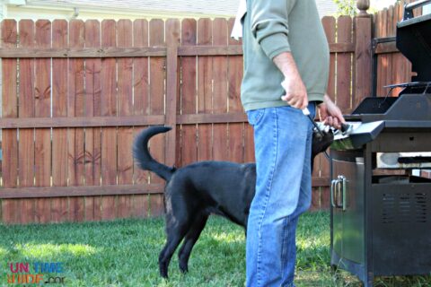 My dog's tail can reach the flames on our grill.