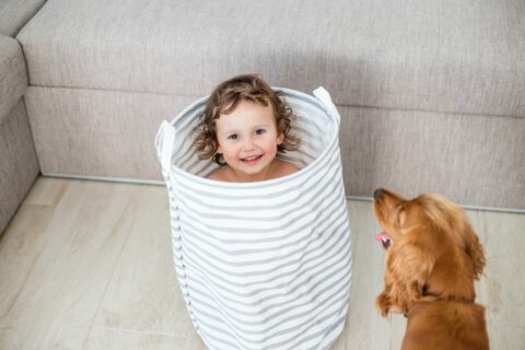 Dog hide and seek game with kids
