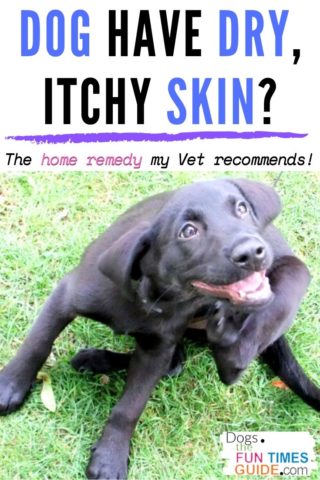 My Vet recommended this home remedy for our dog's dry, itchy skin
