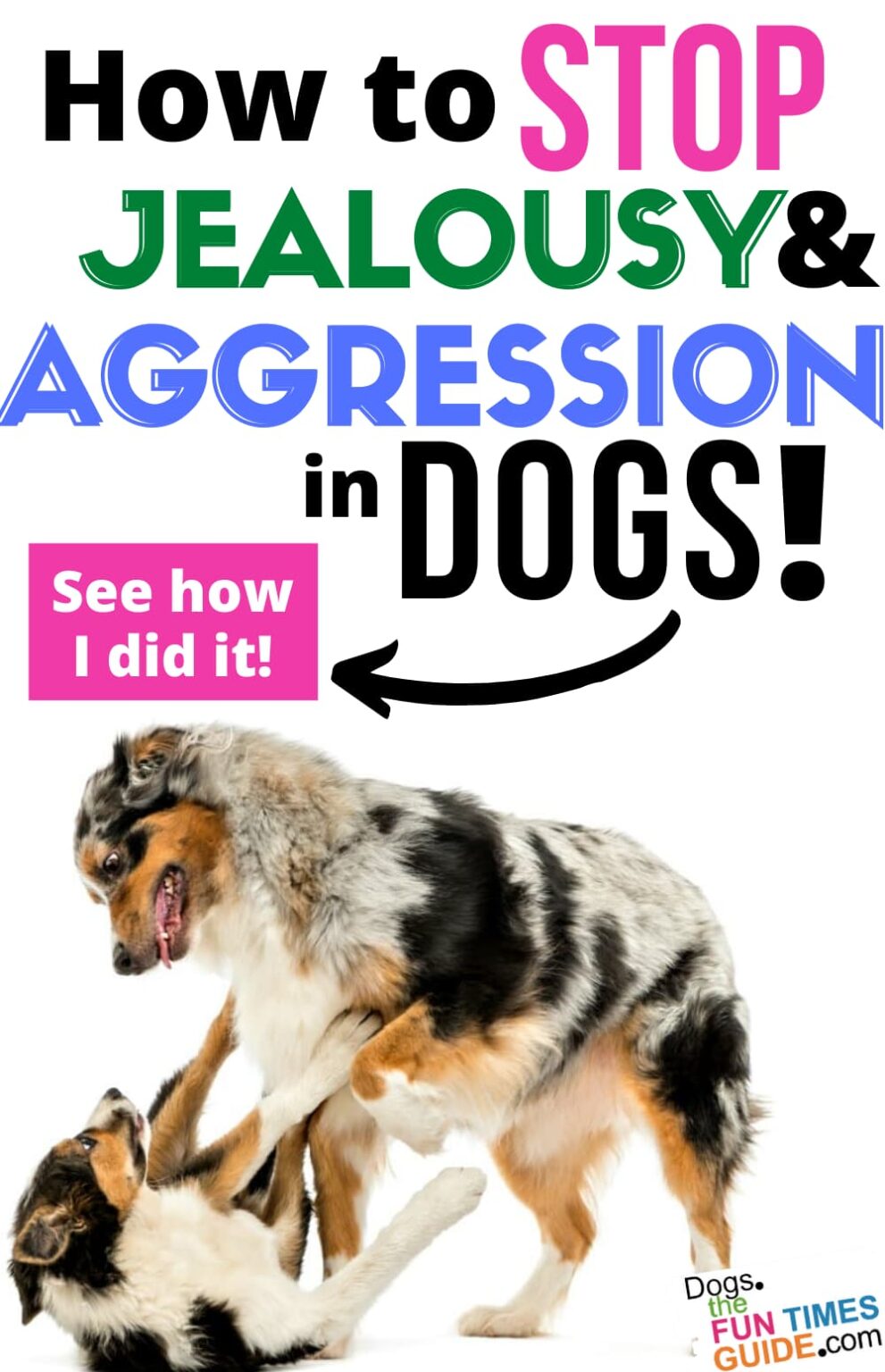 Do Dogs Feel Jealous? Yes! How To Stop Dog Jealousy And Aggression
