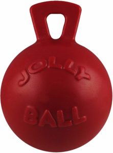 Jolly Ball is a very popular indestructible dog toy. The handle is easy to grip -- which makes it a great toy for a game of fetch with your dog!