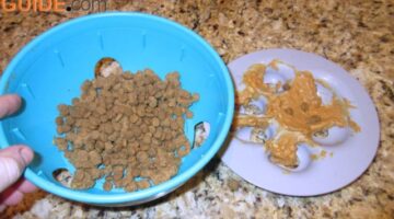 Using a combination of dog kibble and peanut butter in the Rock 'N Bowl pet feeder.
