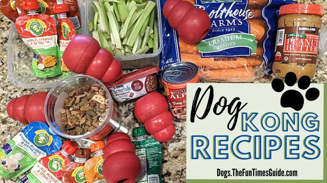 Top 10 Kong recipes for dogs