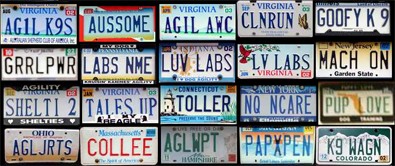 Personalized dog license plates... CLICK to view all.