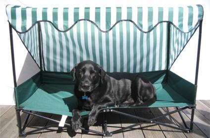 A dog enjoying the beautiful outdoors while staying cool in the shade while lounging on a Kot to Trot dog bed