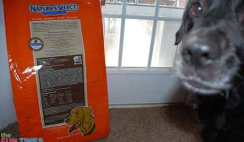 My dog likes the Cold Water Fish Recipe with Sweet Potato. 