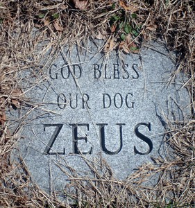 dog-memorial-by-svadilfari.jpg