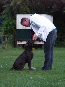 dog-obedience-trainer-by-hotfield.jpg