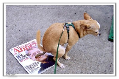 A picture of a dog pooping on former president Clinton's face on a magazine.