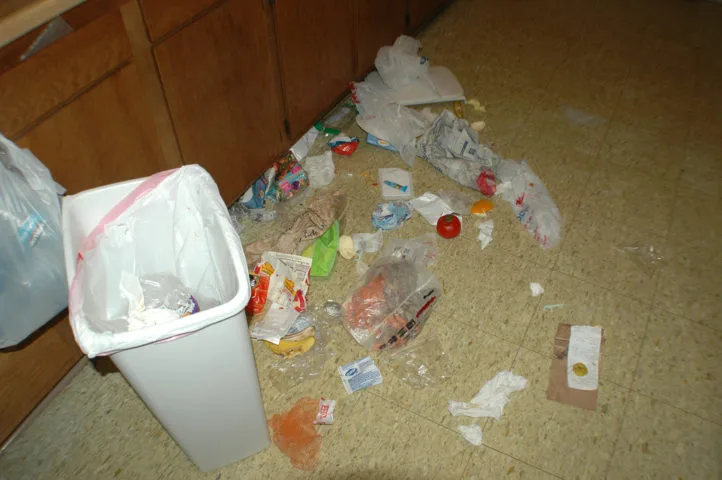 The kitchen garbage can has been raided... again!