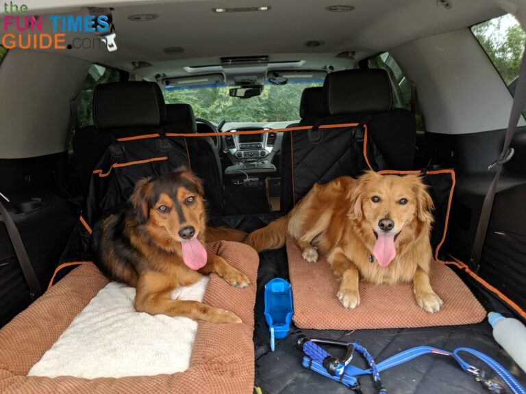 My Review Of The 3In1 Dog Car Hammock, Dog Cargo Cover & Dog Cargo