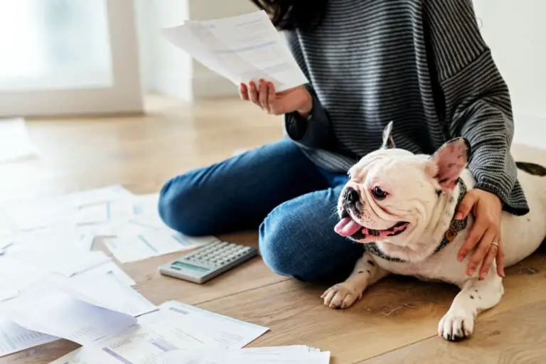 Legit Dog Tax Deductions For Dog Fosters, Dog Breeders, Guard Dog