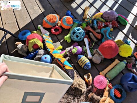 This is one of the dog toy bins that I use to pick which dog toys I'm going to rotate next.