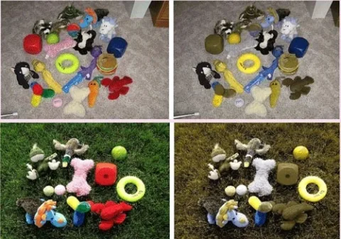 Here you can see the best color for dog toys - Various dog toy colors as seen by humans and dogs against gray carpet, and against green grass.