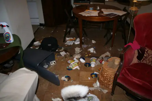 Dog trash all over the house!