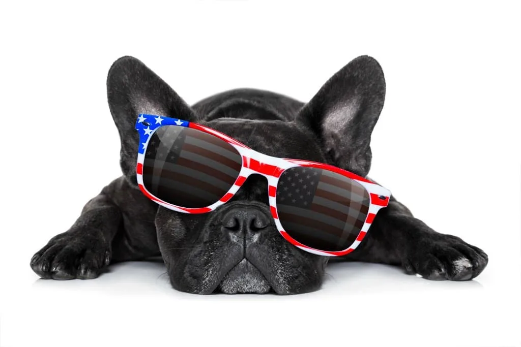 Fourth of July tips for dog owners!