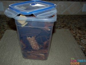 dog-treats-in-plastic-container