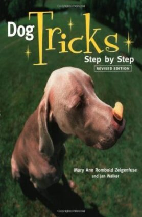 The Best Dog Tricks We Taught Our Dogs | First Time Dog Owners Guide