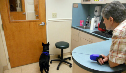 Hate Vet Visits? Tired Of Waiting For Your Vet Appointment? Here’s How To Get In & Out Of The Vet Fast!