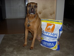 dog-with-bag-of-dog-food-by-playerx.jpg
