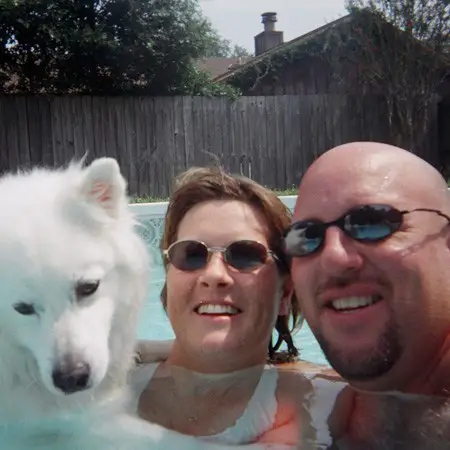 Swimming in the pool with Jersey.