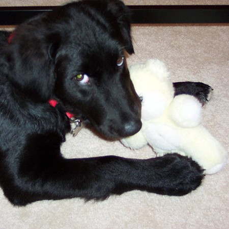 Destin with his stuffed teddy bear.