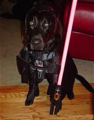 doggie-darth-vader.jpg