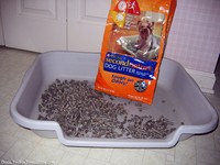 doggy-litter-box-for-dogs.jpg