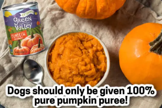 Canned pumpkin is good for dogs with diarrhea. However, dogs should only be given 100% pure pumpkin puree, not pumpkin pie filling!