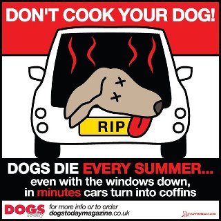 dogs-in-hot-cars