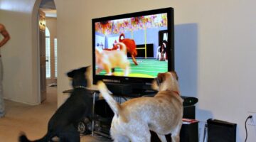 Superbowl Fun For Dogs & Non-Football Fans: It’s Called Puppy Bowl! Here Are Some Fun DIY Puppy Party Ideas