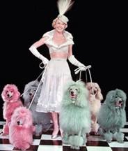 what happened to doris days dogs