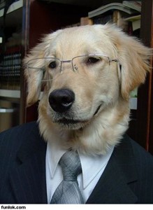 educated-dog-wearing-suit-and-tie.jpg