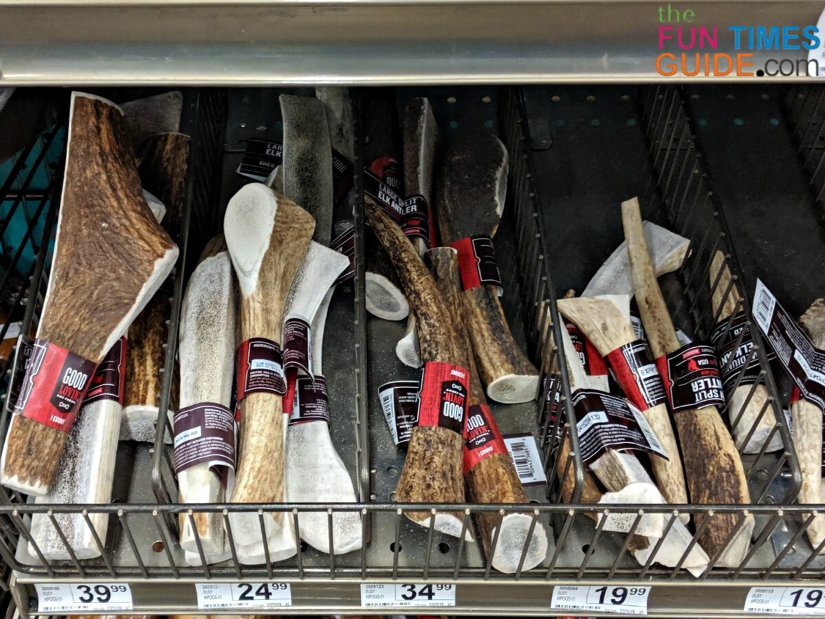 The Best Place To Buy Antlers For Dogs + Pros And Cons Of Whole vs